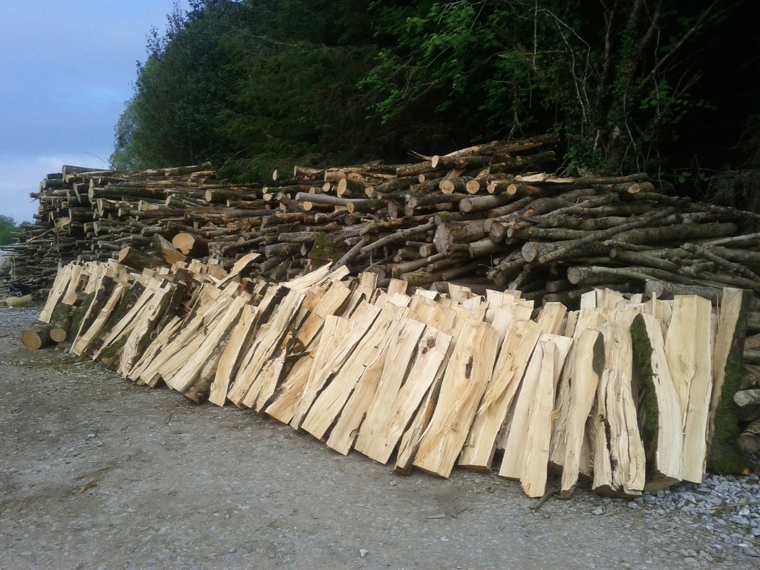 seasoned air dried timber from managed forests